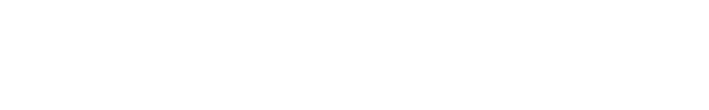 The Leader Store - Reverse Log