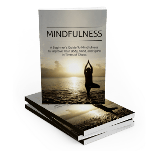Mindfulness Cover